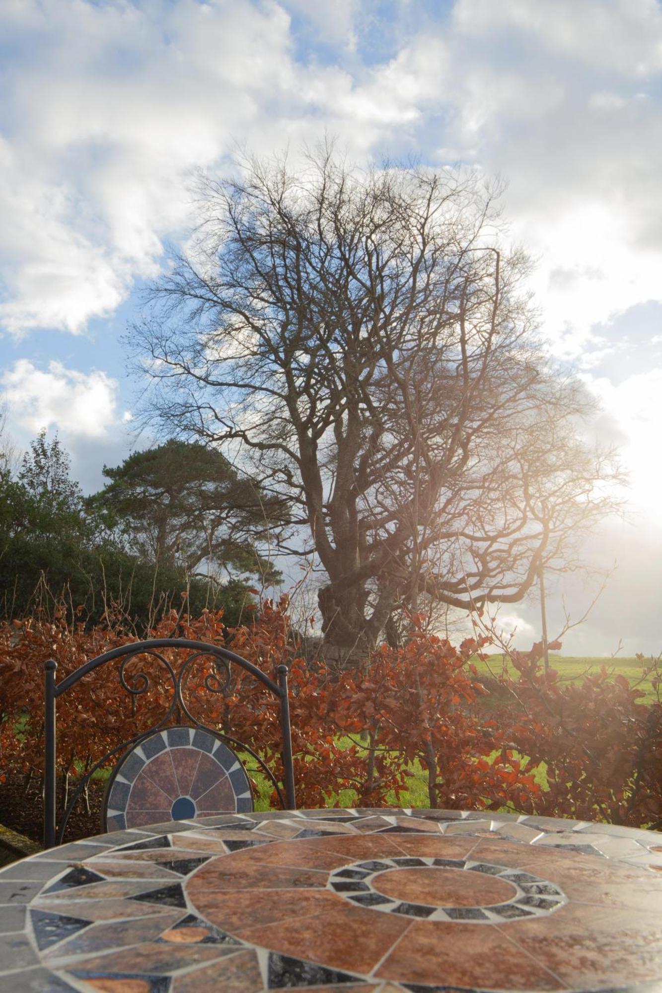 The Stone Cottage Castlebar Eksteriør bilde